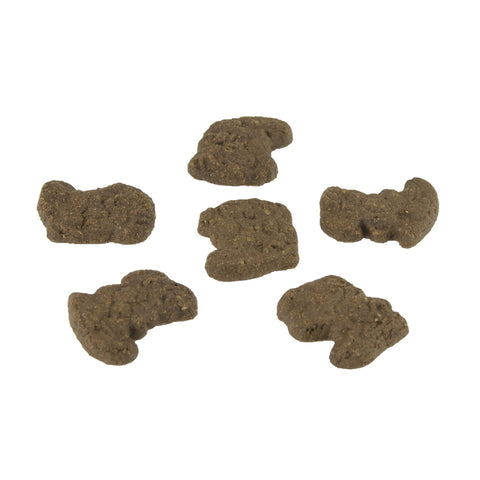 Kellogg's Tiger Bites Chocolate Graham Cracker, 1 Ounce -- 150 per case